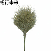 畅行未来 大扫把 3斤 把