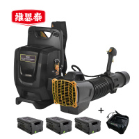 维思泰 锂电充电吹风机除雪机暴风机 LDC82V (背负式三电一充) 台