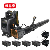 维思泰 锂电充电吹风机除雪机暴风机 LDC82V (背负式四电两充) 台