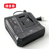 维思泰 锂电池充电器充电电池充电器 WST-DC4.0A 个