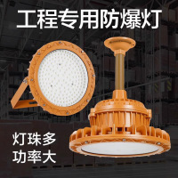 蒙企智品LED防爆工矿灯IP66防护等级黄色200W/个