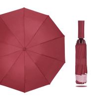 三极户外(Tri-Polar) TP7399 反向10骨自动雨伞