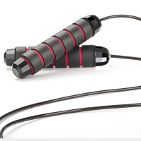 三极户外(Tri-polar)TP1530运动健身钢丝绳学生跳绳绳长2.8米