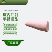 恒则卫勤皮内注射手臂模型 PF-NU005.03
