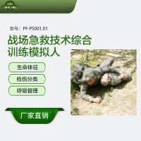 恒则卫勤战场急救技术综合训练模拟人PF-PS001.01
