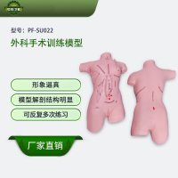 恒则卫勤 外科手术训练模型 PF-SU022 形象逼真 模型解刨结构明显