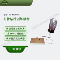 恒则卫勤 SF-W041GS血管结扎训练模型