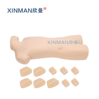 欣曼(XINMAN)XM-1010 成人骨髓穿刺训练模型 骨髓穿刺模拟人 战救模拟训练器材