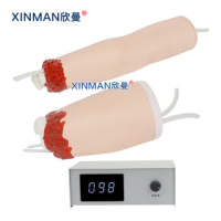 欣曼(XINMAN)XM-H708B 控制出血手臂与大腿模型 上下肢外伤断肢包扎止血模型