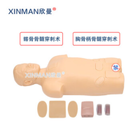 欣曼(XINMAN)XM-Y1011 野外战基础伤情模拟人卫勤战创伤救治技术训练模拟人器材