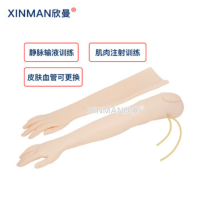 欣曼(XINMAN)XM-S1011 静脉输液模拟训练模块可更换模拟皮肤和血管