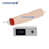 欣曼(XINMAN)XM-H508B 控制出血手臂模型 上肢外伤断肢包扎止血模型