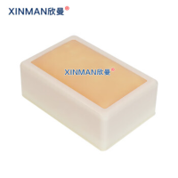 欣曼(XINMAN)XM-ZC05 训练模块训练盒 针灸练习皮肤模型