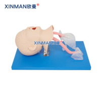 欣曼(XINMAN)XM-1A 高级儿童气管插管训练模型 儿童气管插管模拟人儿童款