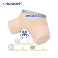 欣曼(XINMAN)XM-LC36 前列腺检查操作仿真模型