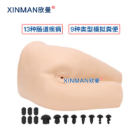 欣曼(XINMAN)XM-LC38 直肠检查操作模型 肛门指诊训练模拟人