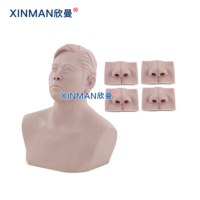 欣曼(XINMAN)XM-SHDS 上颌窦穿刺训练模型 窦道管理模拟人