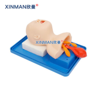 欣曼(XINMAN)XM-2A 新生儿气管插管操作训练模型 小儿气管插管模型新生儿款