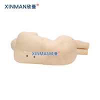 欣曼(XINMAN)XM-YC02 腰椎穿刺模拟人 腰椎穿刺训练模型可自动形成负压