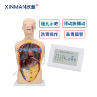 欣曼(XINMAN)XM-XW-2 多功能高仿真透明鼻饲与洗胃训练模型(电子监测款)