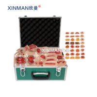 欣曼(XINMAN)XM-SQ58 伤情呈现模拟器材 58种伤情组件 卫勤战救模拟训练器材
