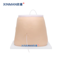 欣曼(XINMAN)XM-L-FMT 腹膜透析模型 腹膜透析模拟训练