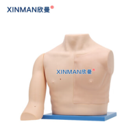 欣曼(XINMAN)XM-L68F 静脉介入操作模型