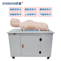 欣曼(XINMAN)XM-ZHC1 综合穿刺模拟人 综合穿刺术与叩诊检查训练模型