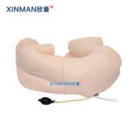 欣曼(XINMAN)XM-YC01 腰椎穿刺模拟人 腰椎穿刺训练模型普通款