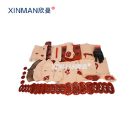 欣曼(XINMAN)XM-SQ43 伤情呈现模拟器材 43部件创伤评估模型组件块