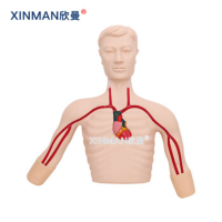 欣曼(XINMAN)XM-L68A PICC线介入操作训练模型 深静脉穿刺置管模型
