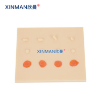 欣曼(XINMAN)XM-MK01 表皮常见病变处理训练模块 表皮常见病处理模拟训练