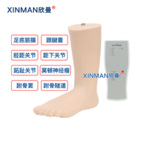 欣曼(XINMAN)XM-L74 电子踝关节腔内注射模型穿刺操作模拟训练