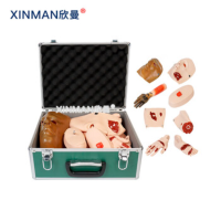 欣曼(XINMAN)XM-SQ16 伤情呈现模拟器材 16部件创伤评估模型块组件