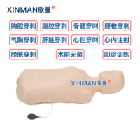 欣曼(XINMAN) XM-ZHC2 综合穿刺训练模型 综合穿刺模拟人