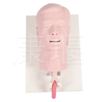 康堰 SKY-JH 高级气道管理模拟人环甲膜穿刺和切开训练仿真模型模拟训练