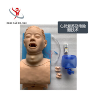 康堰 SKY-KYRES005 气管插管模型高级气道管理模拟人环甲膜穿刺训练模型