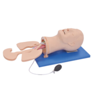 康堰 SKY-51+ 高级气道管理模拟人鼻咽通气管模拟人全功能气道管理模型