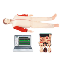 康堰 心肺复苏及AED模拟仪、心肺复苏模拟人SKY/BLS1000