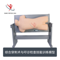 康堰综合穿刺术与叩诊检查技能训练模型电子标准化病人SKY-CK810