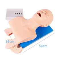 康堰高级气道管理模拟人鼻咽通气管模拟人全功能气道管理模型 SKY/J52