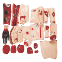 康堰野外战基础伤情模拟人创伤急救模特伤情呈现模拟器材 SKY/J43