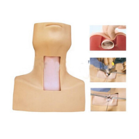 康堰 气管切开训练仿真模型 SKY/J58A