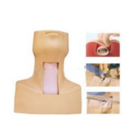 康堰 环甲膜穿刺模型、气管切开插管训练模型 SKY/J608