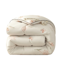 优福安达羽丝绒绵被 BX2024010 /张