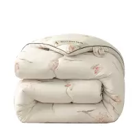 优福安达羽丝绒绵被 BX2024010 /张