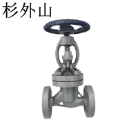 杉外山 铸钢体蒸汽法兰截止阀 个