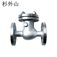 杉外山 304不锈钢旋启式法兰止回阀 个