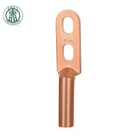 兴京阳 双孔铜接线端子 DT-50S 个