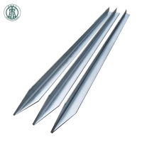 兴京阳 接地极 50*5*2500 根